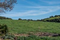 bearbeitet_DSC4701 Kopie - copia