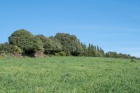 bearbeitet_DSC4703 Kopie