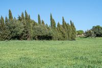 bearbeitet_DSC4723 Kopie