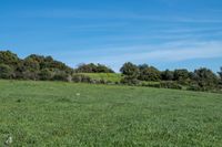 bearbeitet_DSC4727 Kopie