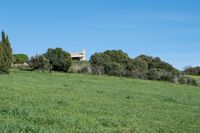 bearbeitet_DSC4728 Kopie