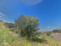 terreno Patria 3 hectarias_2_extracted-image_1652426474817